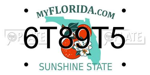 6T89T5 Florida License Plate