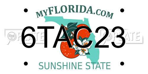 6TAC23 Florida License Plate