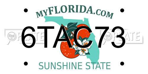 6TAC73 Florida License Plate