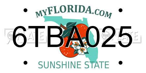 6TBA025 Florida License Plate