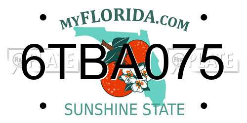 6TBA075 Florida License Plate