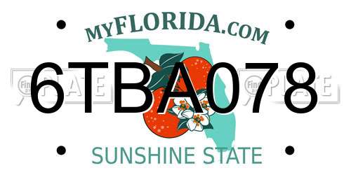 6TBA078 Florida License Plate