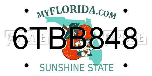 6TBB848 Florida License Plate