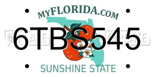 6TBS545 Florida License Plate