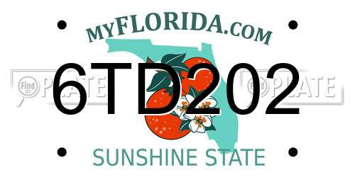 6TD202 Florida License Plate