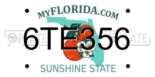 6TE356 Florida License Plate