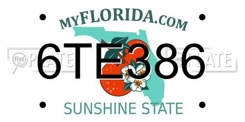 6TE386 Florida License Plate