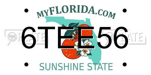 6TEE56 Florida License Plate