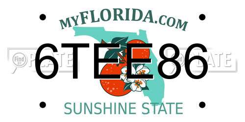 6TEE86 Florida License Plate