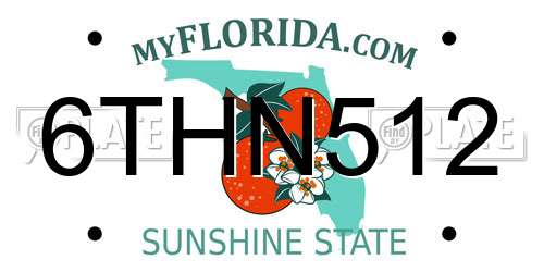 6THN512 Florida License Plate