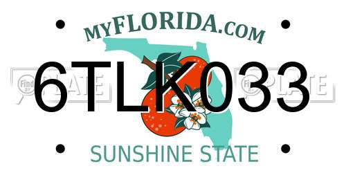 6TLK033 Florida License Plate