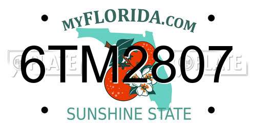 6TM2807 Florida License Plate