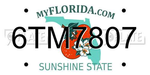 6TM7807 Florida License Plate