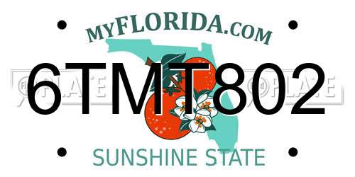 6TMT802 Florida License Plate
