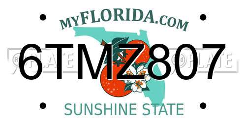 6TMZ807 Florida License Plate