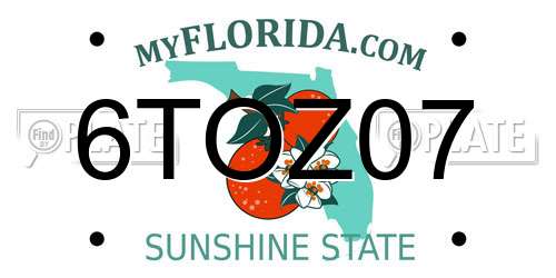 6TOZ07 Florida License Plate
