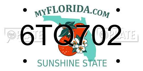 6TQ702 Florida License Plate