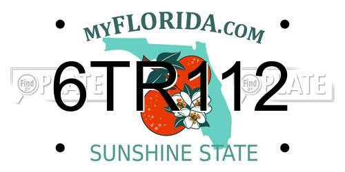 6TR112 Florida License Plate