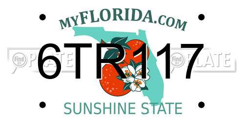 6TR117 Florida License Plate