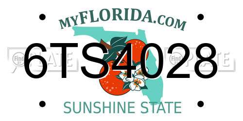 6TS4028 Florida License Plate