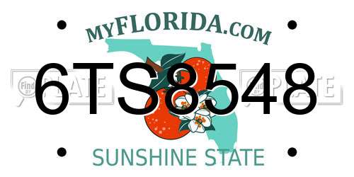 6TS8548 Florida License Plate