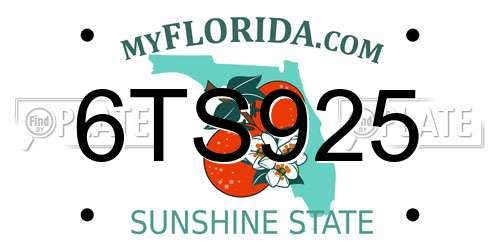 6TS925 Florida License Plate