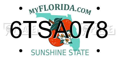 6TSA078 Florida License Plate