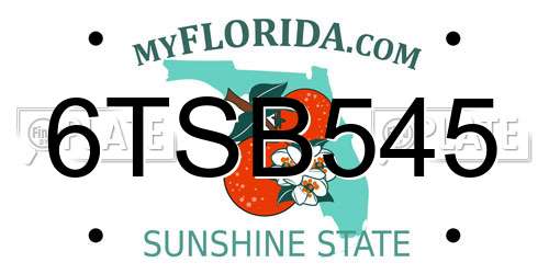 6TSB545 Florida License Plate