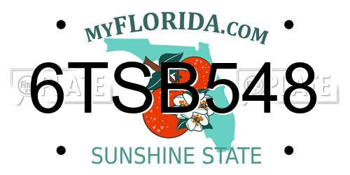 6TSB548 Florida License Plate