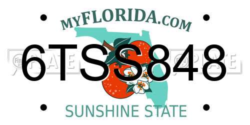 6TSS848 Florida License Plate