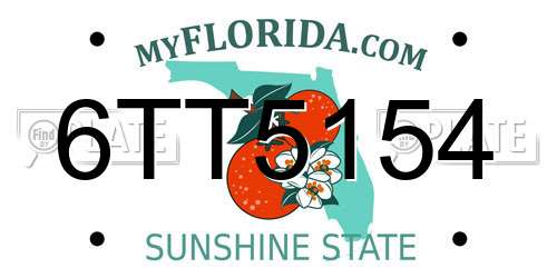 6TT5154 Florida License Plate