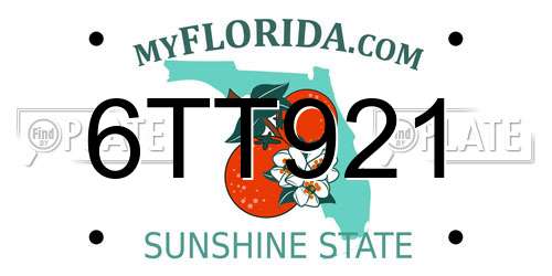 6TT921 Florida License Plate