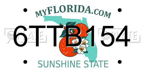 6TTB154 Florida License Plate