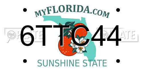6TTC44 Florida License Plate
