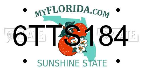 6TTS184 Florida License Plate
