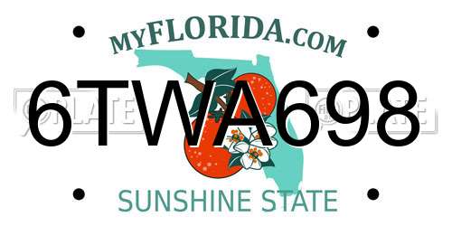 6TWA698 Florida License Plate