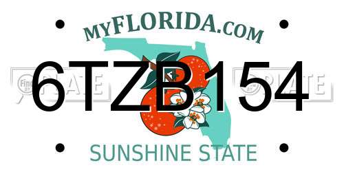 6TZB154 Florida License Plate