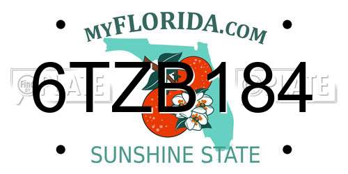 6TZB184 Florida License Plate