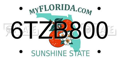 6TZB800 Florida License Plate