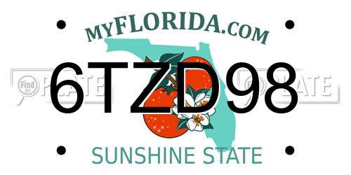 6TZD98 Florida License Plate