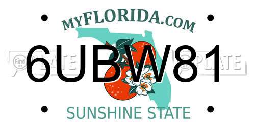 6UBW81 Florida License Plate