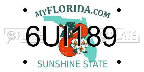 6UI189 Florida License Plate