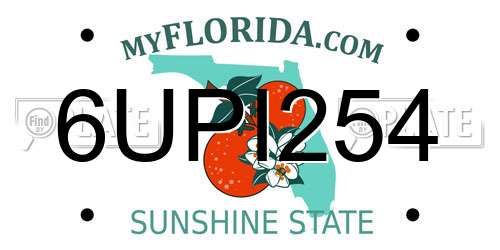 6UPI254 Florida License Plate