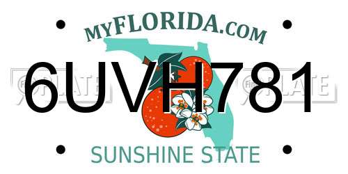 6UVH781 Florida License Plate