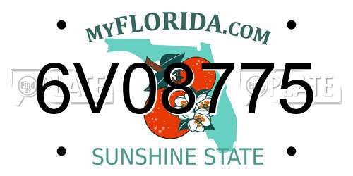 6V08775 Florida License Plate