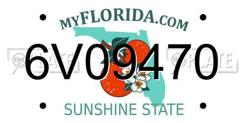 6V09470 Florida License Plate