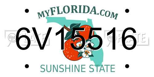 6V15516 Florida License Plate