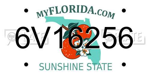 6V16256 Florida License Plate