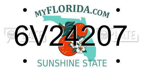 6V24207 Florida License Plate