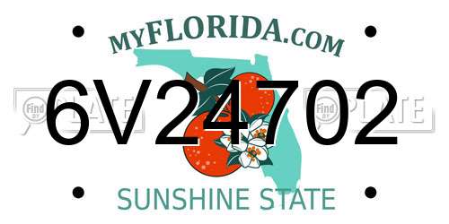 6V24702 Florida License Plate